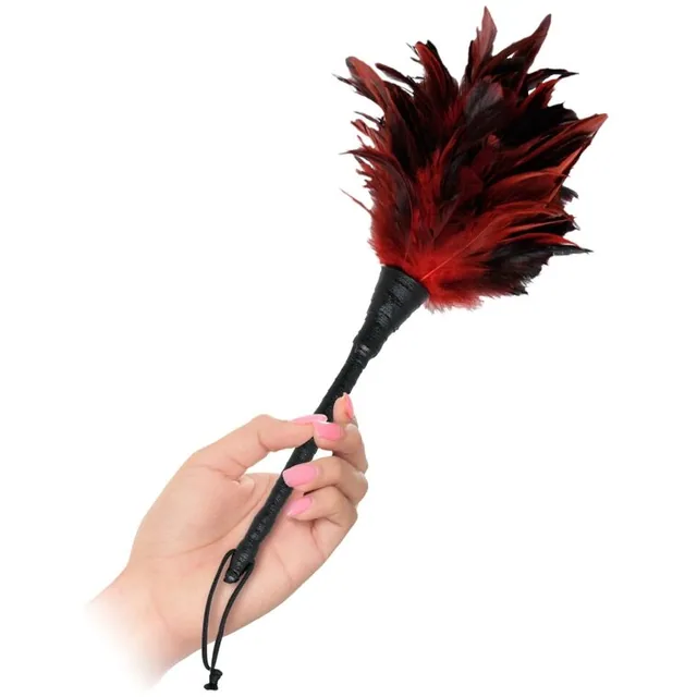 Caresseur Plumes