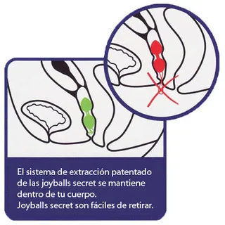 Joyballs Secret Boules de Geisha Joydivion Joyballs - vue de dos